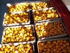 МАНДАРИНЫ ПРОДАМ