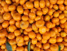 Мандарин1.200т 55р