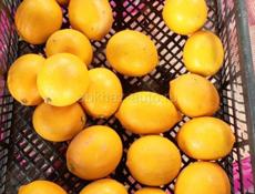 Сочные лимоны