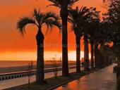 Алахадзы 14 соток 