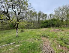 Участок в селе пшап 