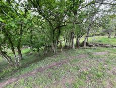 Участок в селе пшап 