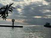 Сдается до лета 