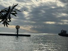 Сдается до лета 