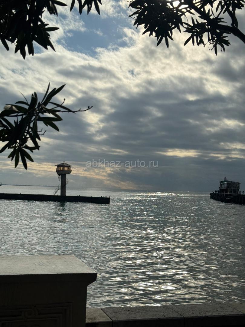 Сдается до лета 