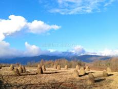 Продаю сено 