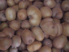  ВАШИНГТОНЫ КИВИ ЛИМОНЫ