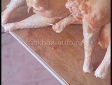 Продаются куры петухи живые и чищеные домашние номер телефона (+79409364090) в очамчире доставка есть везде 