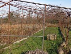 Продам теплицу