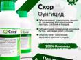 Продаются фунгициды 