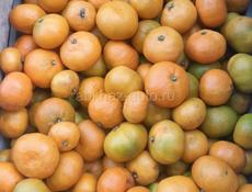 Продаю мандарины