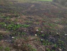 Продам участок в с. Приморское