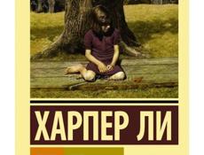 очень интересная книга 