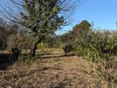 20 соток продам 