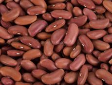 Продам фасоль 