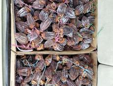 Хурма сущенная 