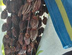 Хурма сущенная 