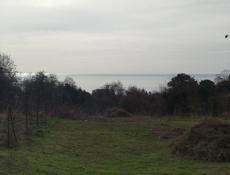 Новый Афон 50сот. срочно!