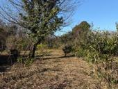 20 соток Ачадара 