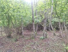 покос травы