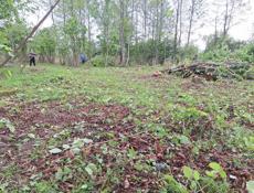 покос травы