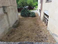 покос травы