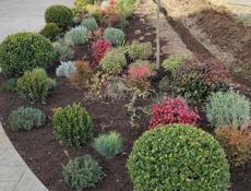 ЛАНДШАФТНЫЙ ДИЗАЙН "Под ключ" Гарантия