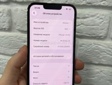 13 Pro Max 256gb🔋100%