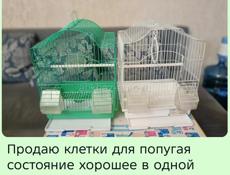 За цену писать на номер в вотсап +7940-778-59-57