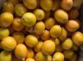 Продаю лимоны 