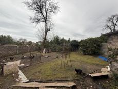 Продается дом с участком