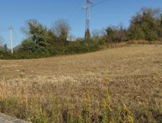 Земельный участок 50 соток Ачадара 