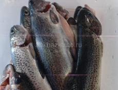 Требуется реализатор на продажу свежей рыбы. З./п договорная. Гагра . +79409309799