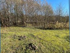 Срочно очень 