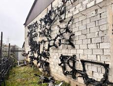 Подрамники на японских и немецких машин