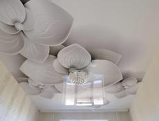 Работа по Гипсовой штукатурке стяжка полом, Натяжные Потолки