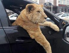 ❗ИЩУ РАБОТУ❗ Парень 20 лет