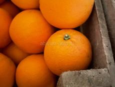 Продажа свежих апельсинов 