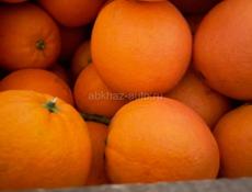 Продажа свежих апельсинов 