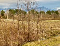 УЧАСТОК 22 СОТКИ В П. ЦАНДРИПШ