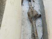 Мост «Чайка» для волги