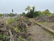 Аэропорт обмен на авто 