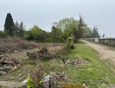 Аэропорт обмен на авто 