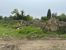 Аэропорт обмен на авто 