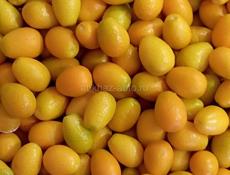 Продаю кинкан