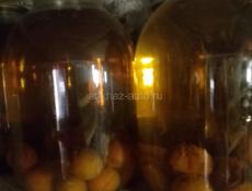 Продам компоты ежевика, кизил, слива, фейхо