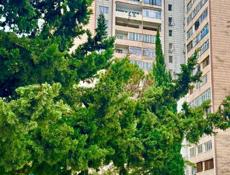 3 - К. КВАРТИРА В СУХУМЕ С ВИДОМ НА МОРЕ И ГОРЫ ЗА 4,5 млн.₽