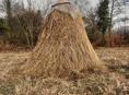 Сноп сена