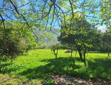 Продается участок 