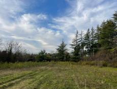 Продам земельный участок 50 соток‼️